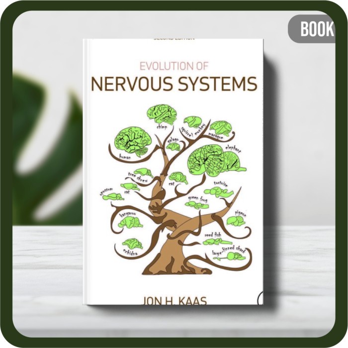 

Buku - Jon H. Kaas Evolution of Nervous Systems Second Edition