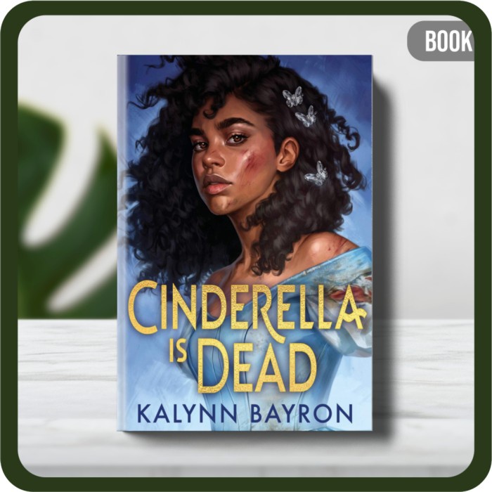

Buku - Kalynn Bayron Cinderella Is Dead