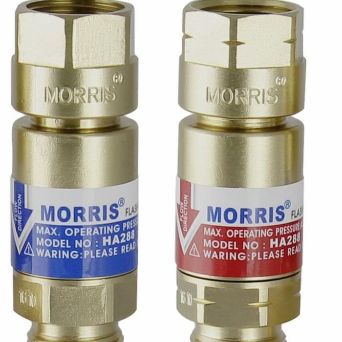 Terlaris Flashback Arrestor Morris