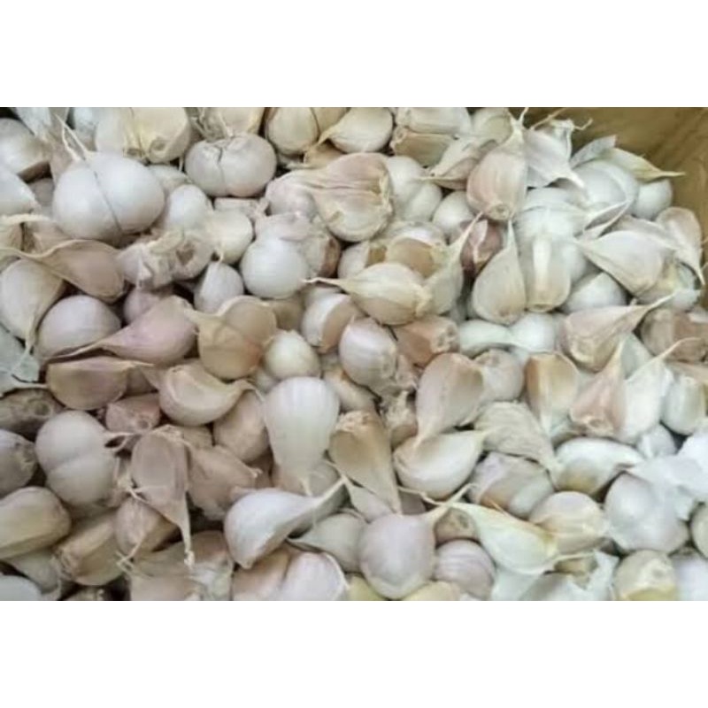 

bawang putih kating super premium murah segar (dijamin sudah disortir)