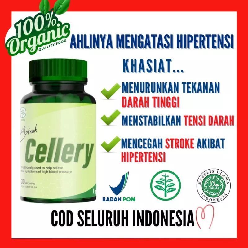 CELLERY Obat Darah Tinggi CELLERY Herbal CELLERY Obat Hipertensi