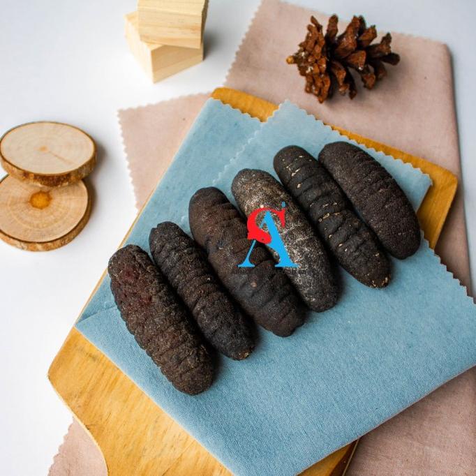 

Promo Haisom Kering Teripang ASLI Belitung 250 gr / Lintah Laut Hoisem