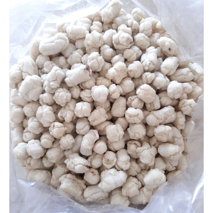 

pilus cikur/kencur 250gr