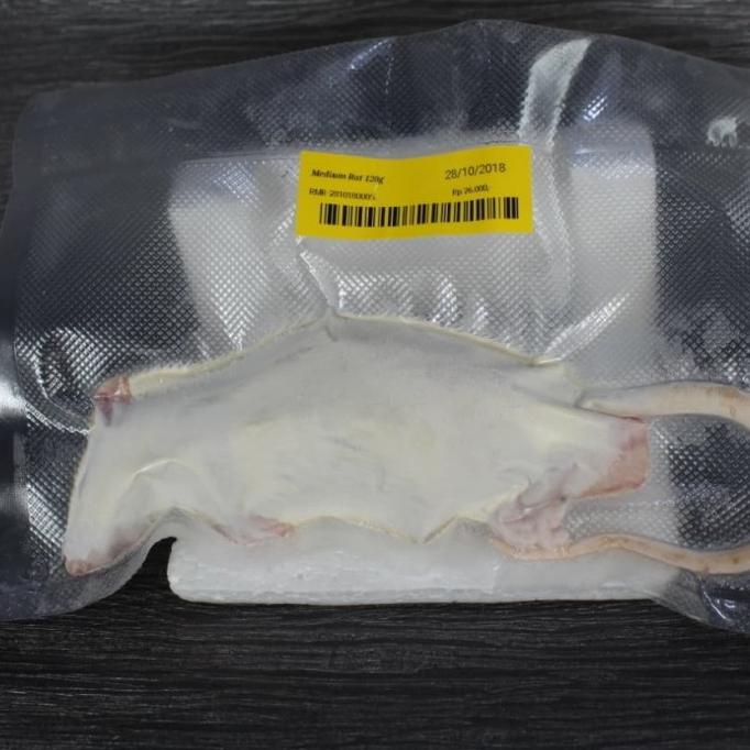

Promo Tikus Beku / Frozen Rat Medium 101-120g Via Instant Courier