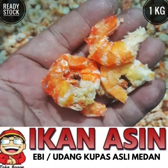 

Promo EBI / UDANG KUPAS / UDANG TANPA KULIT 1 kg