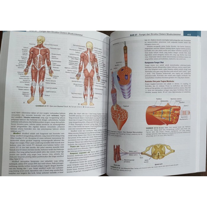 Hot Sale [Original] Buku Ajar Patofisiologi Vol.1+2 ,Ed.6 - Huether & Mccance Termurah
