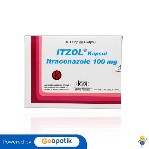 ITZOL 100 MG KAPSUL BOX