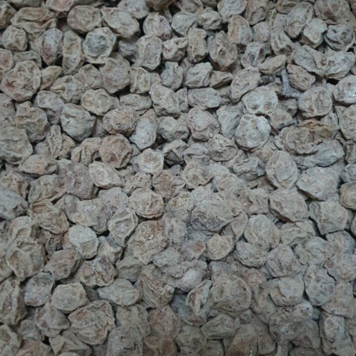 

500gr Dried Prune / Plum Kering / Kiamboy / Kiamboi - Putih / Coklat
