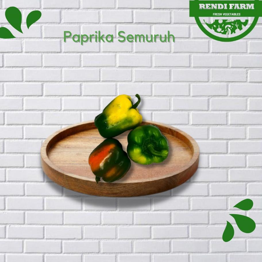 

Sale | KI3 | PAPRIKA SEMURUH / PAPRIKA BERUBAH WARNA / SAYURAN /SAYURAN SEGAR 1 KG