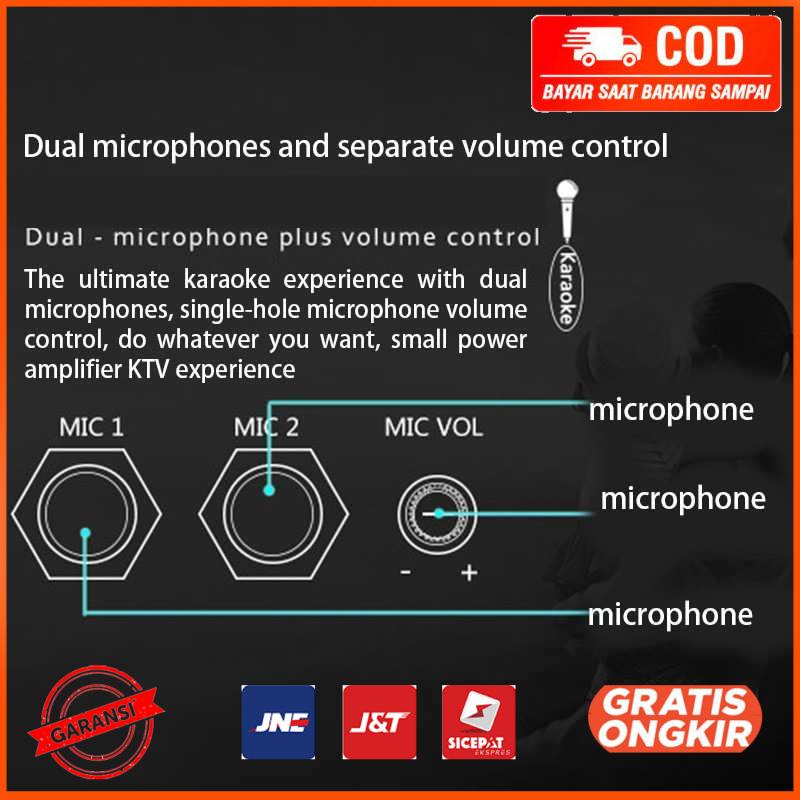 Papan Audio Amplifier Bluetooth Sound Booster with Microphone Port D20