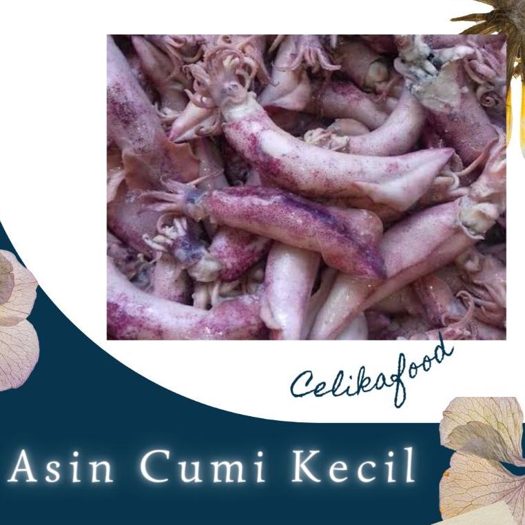 

DISKON !!! Ikan Asin Cumi 100 gr Squid Fresh Fish Seafood Kering [KODE 677]