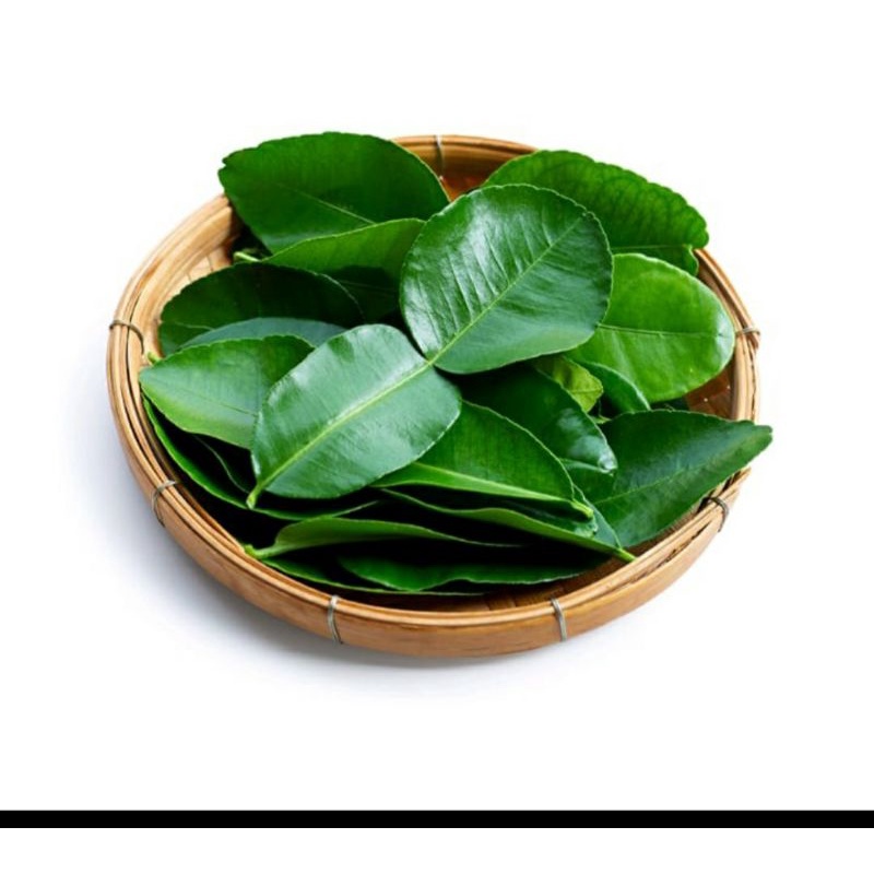 

daun jeruk purut