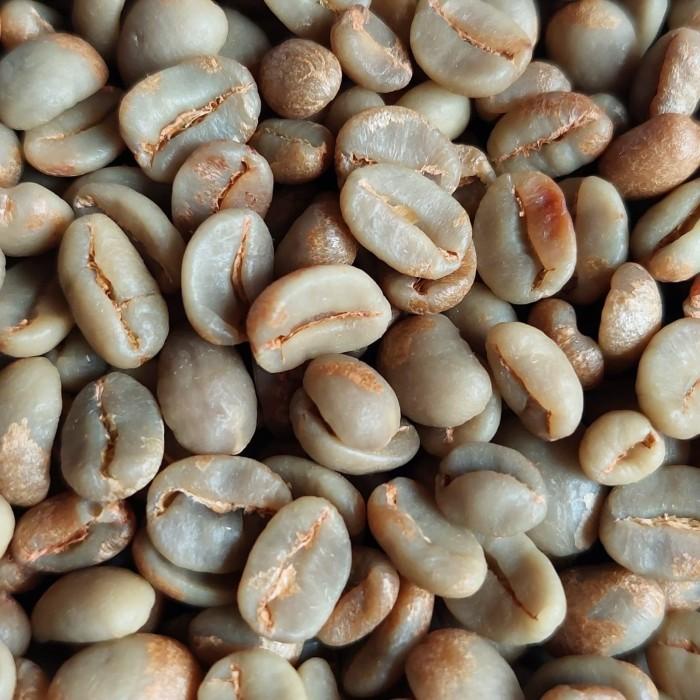 

Green Bean (Kopi Mentah) Gn. Tujuh Kayu Aro Red Honey Process
