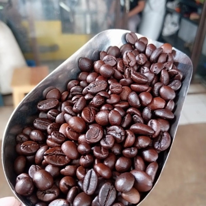

TERLARIS Kopi Robusta Pilihan 1 Kg /KOPI EUBE/KOPI KAPAL API/KOPIBUBUK/KOPI ROBUSTA/KOPI ARABIKA
