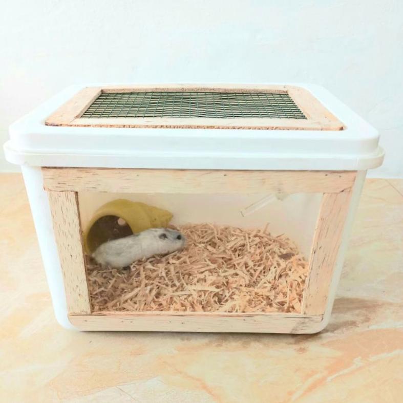 MURAH  Box Es Krim Modif Kandang Hamster [KODE 988]