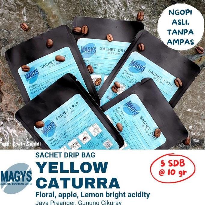 

Arabika Single Origin Yellow Caturra Sachet Drip Bag Arabica Kopi