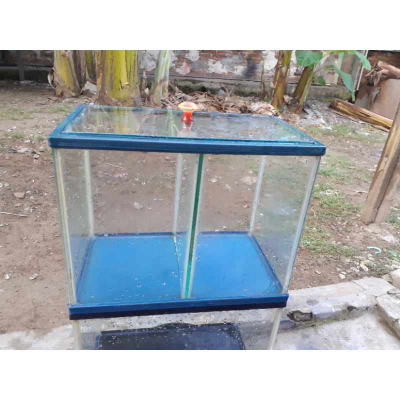 akuarium nisso bekas/akuarium bekas murah ukuran 31/S