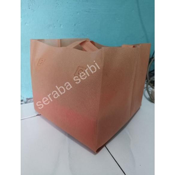 

Termurah Tas Hls Box 25X25 Tas Besek Tas Spunbond Tas Kotak Tas Box Nasi Tas Kue