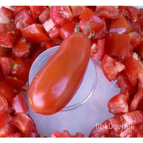 

Kaus Big LegendลันMalมTomat Biji Kingdom ZanoพเHarta Karun็Benih Sayuran SuciดธุTaman์100 JKCH