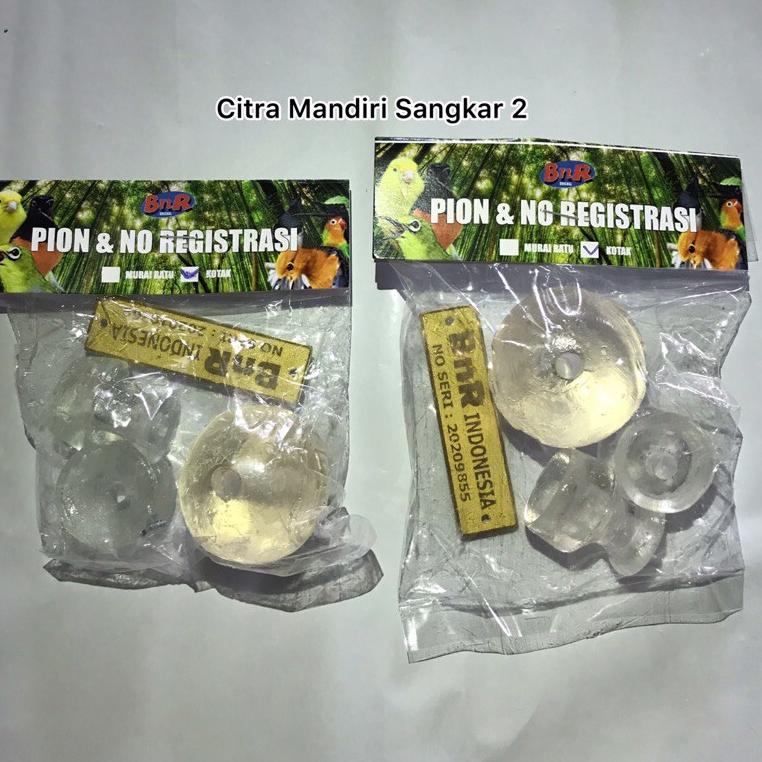 り Pion Bening Sangkar Kandang Burung Kotak Wajib Lomba BNR Presiden Cup PRESCUP 6 HARGA MURAH 81R