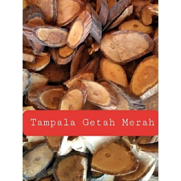 

AKAR BAJAKAH TAMPALA MERAH / TAMPALA GETAH MERAH ASLI KALIMANTAN 100% ORIGINAL