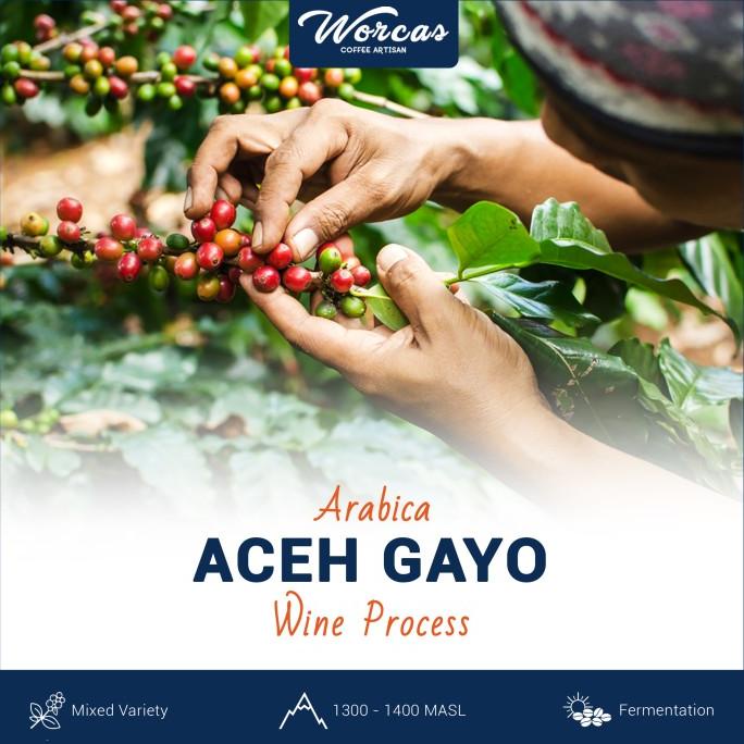 

Green Bean Arabica Aceh Gayo Wine Process 1Kg (Biji Kopi Mentah)