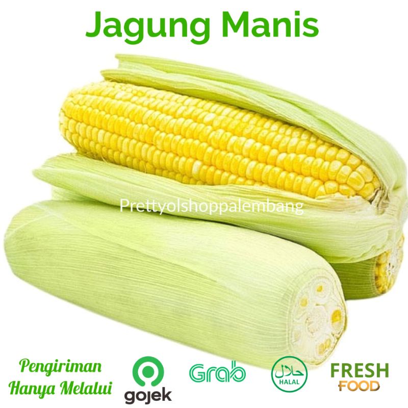 

[PALEMBANG] JAGUNG MANIS 1 KG - SAYUR BUAH IKAN SEGAR ONLINE PRETTY OLSHOP PALEMBANG