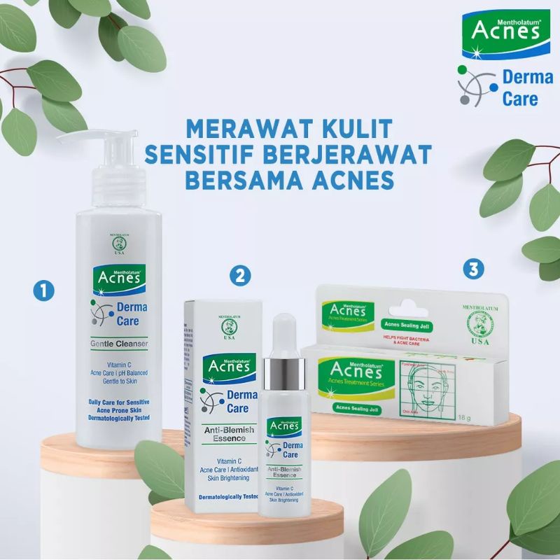 Acnes Derma Care Gentle Cleanser