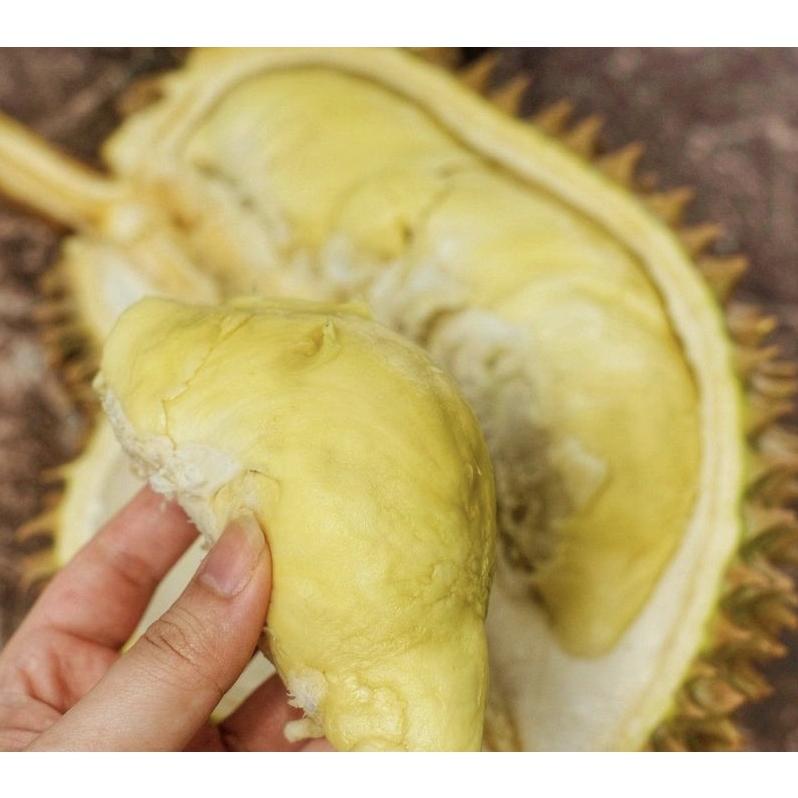 

Durian Montong Utuh BossBuah DIJAMIN MANIS HARGA PER KG (KLIK 2X=1 BUAH) Non COD