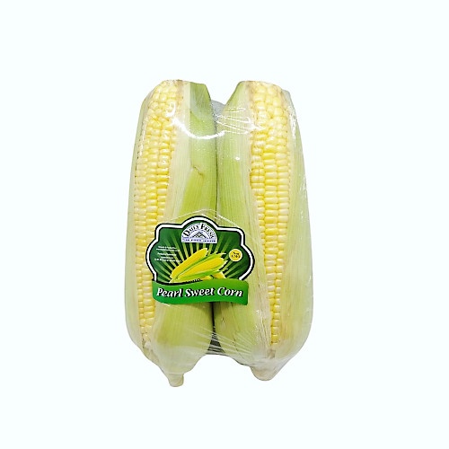 Daily Fresh Jagung Bonggol Premium
