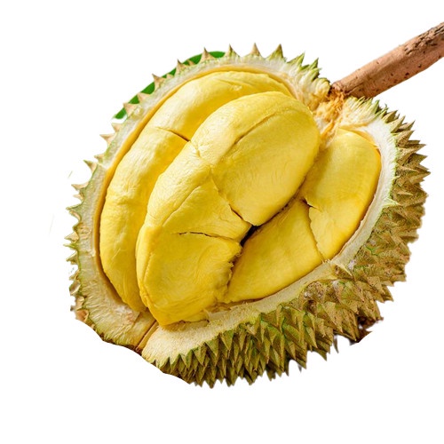 

Durian Monthong - Total Buah