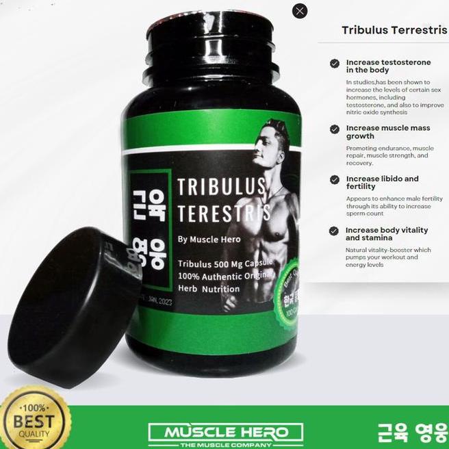 Tribulus Terestris - Supplemen Herbal Penambah Massa Otot & Vitalitas