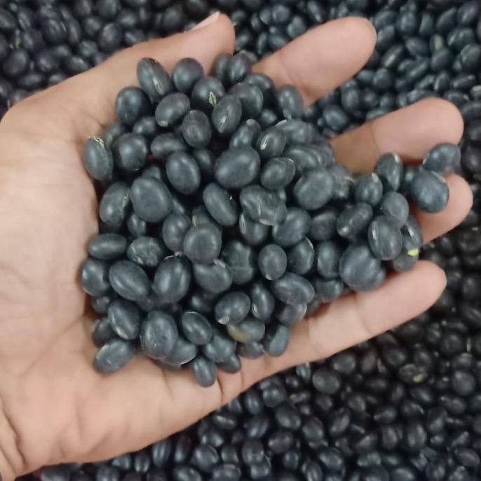 

Kacang Kedelai Hitam Import @ 10 Kg.