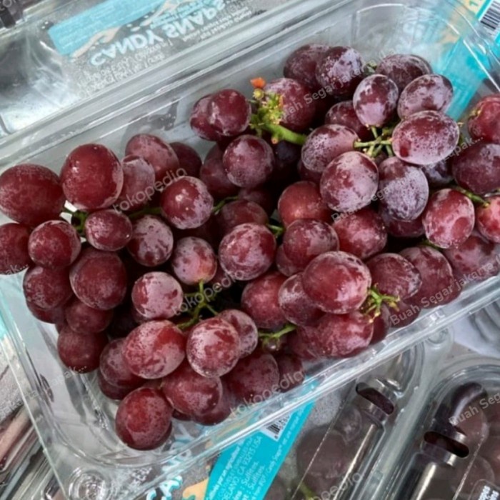 

Anggur Candy Snaps Seedless Fresh Import