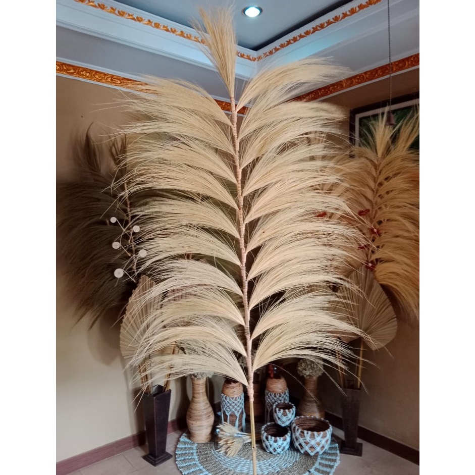 qiuw -53 Home Decor Rayung Kering Rayung Panjang Rayung Natural Rayung Rustic Dekorasi Rustic Rayung