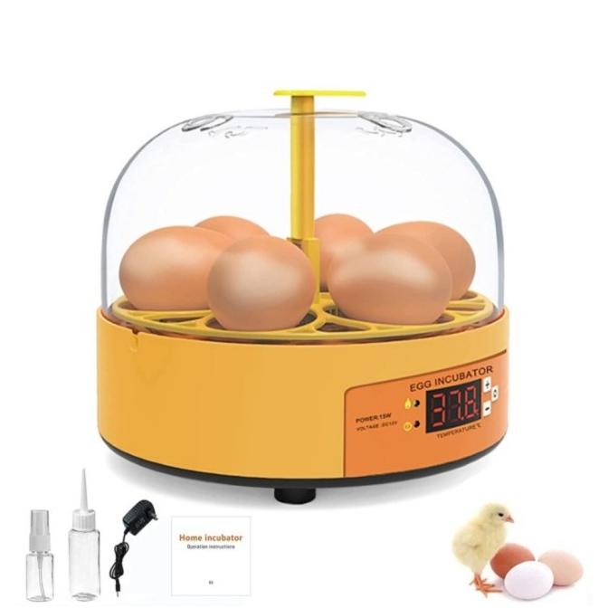 Egg Incubator Mini Penetas 6 Telor Ayam Burung Bebek Putar Kecil