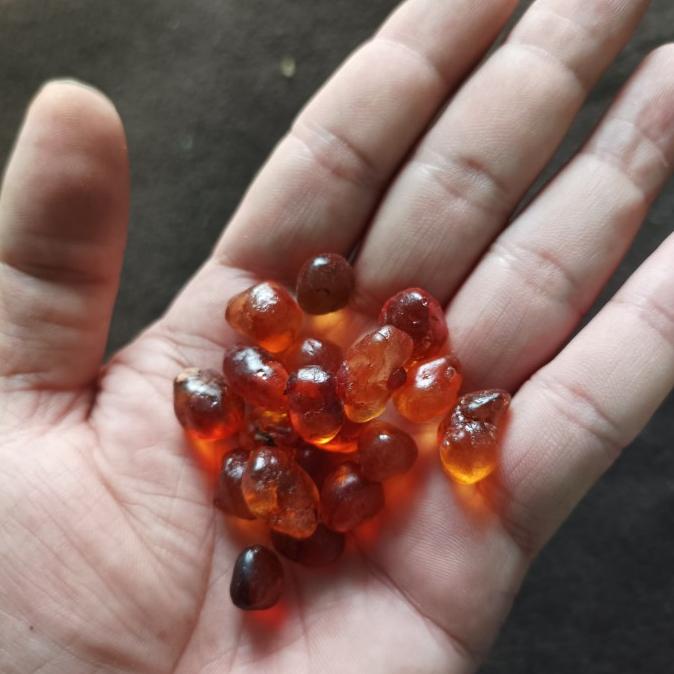 

/////] 500 G GR GRAM PEACH GUM PREMIUM RESIN TAOJIAO TAO JIAO
