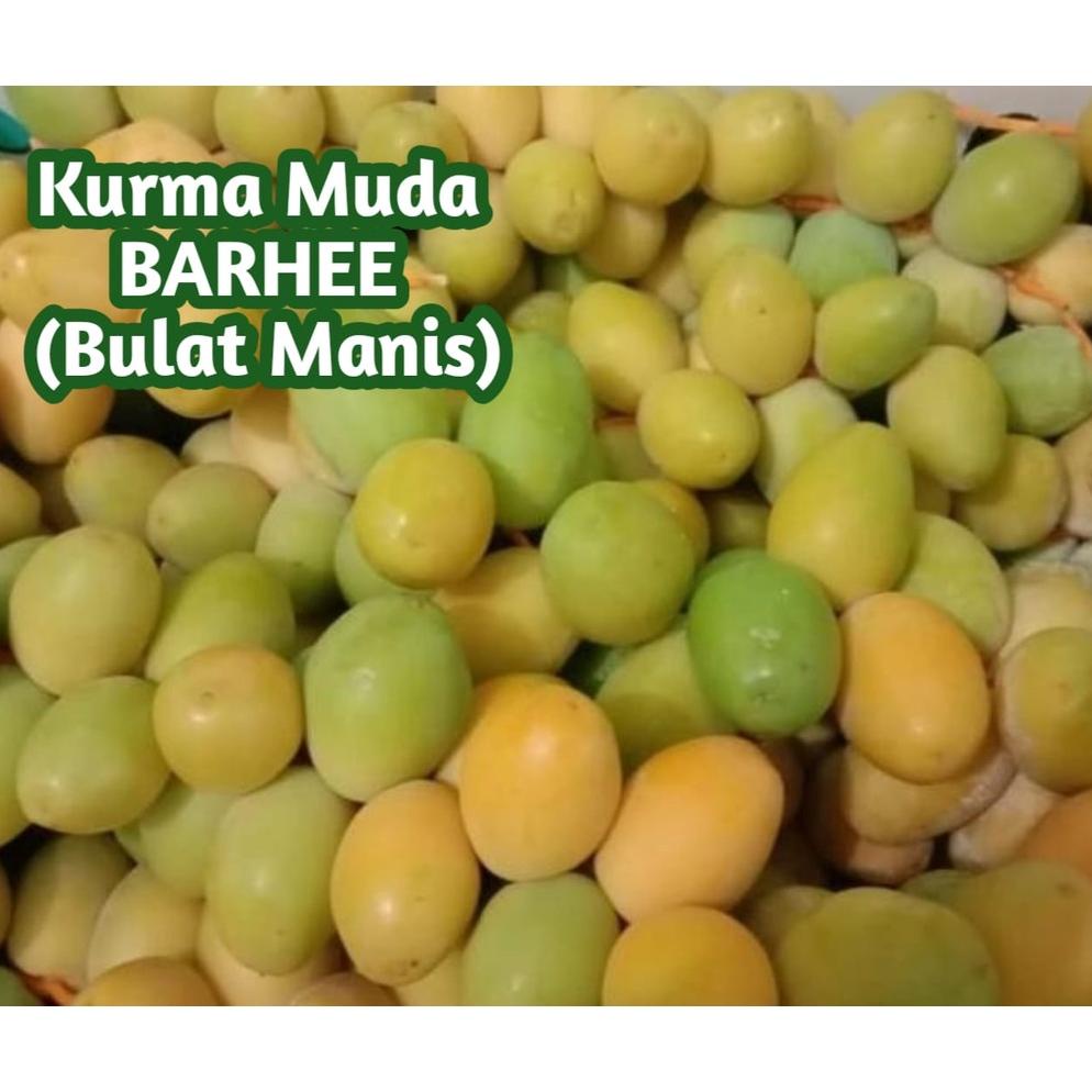 

Kurma Muda Promil BARHEE Fresh 500 gr (Jaminan 100% Asli Barhee) Best Seller