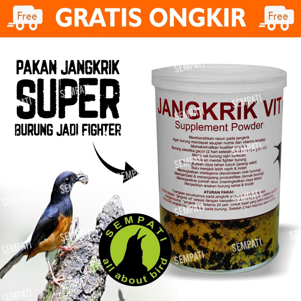 ➝ Jangkrik Vit Sempati Pakan Khusus Jangkrik Untuk Burung Murai Kacer Cucak Anis Jadi Gacor Jangkrik