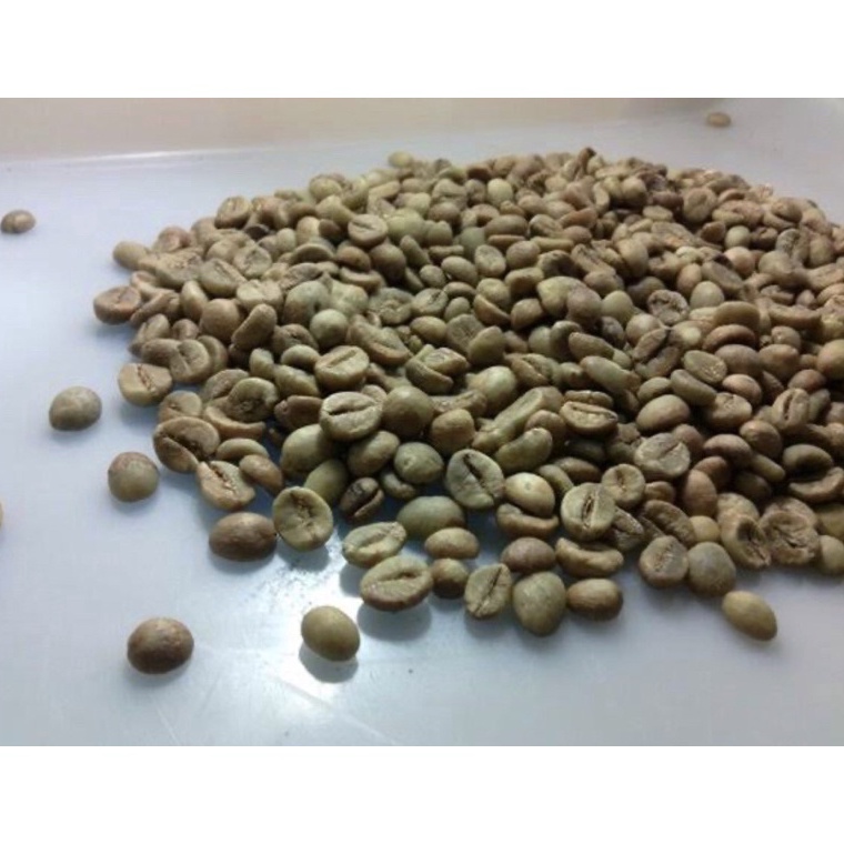 

Langsung Beliii.. Green Bean Robusta Grade A 1kg / Biji Kopi Robusta Grade A 1kg 47
