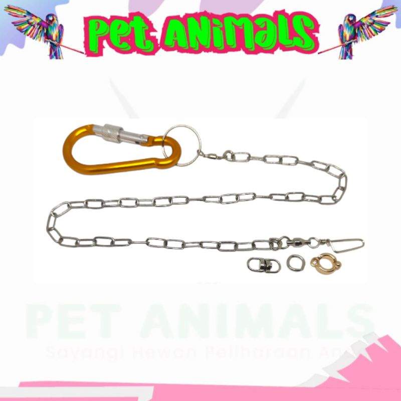 rantai kaki ring borgol burung nuri ambon/kepala hitam fullset