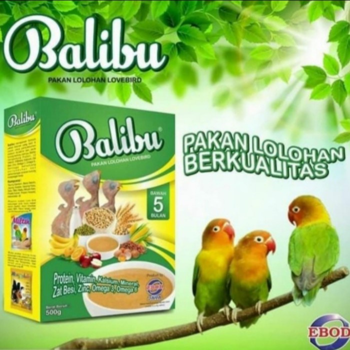 Terlaris Balibu 500Gr Pakan Lolohan Bubur Makanan Anak Burung Murai Lovebird Ke