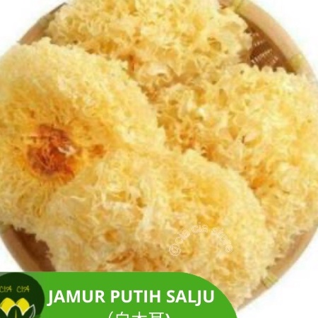 

➭ht Ready Stock Jamur es / jamur salju / pek bong ni / bai mu er ( jamur putih) kualitas terbaikk UTUH H51