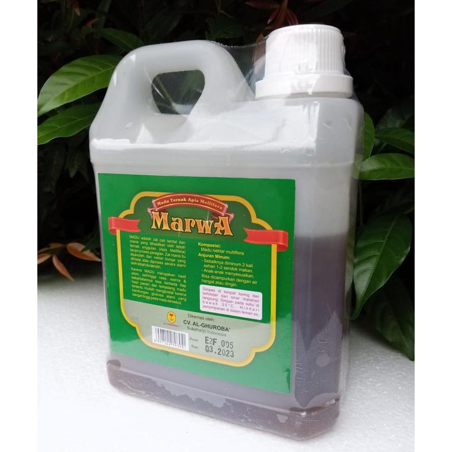 

Madu Marwa Multiflora Jerigen 1Kg Al-Ghuroba