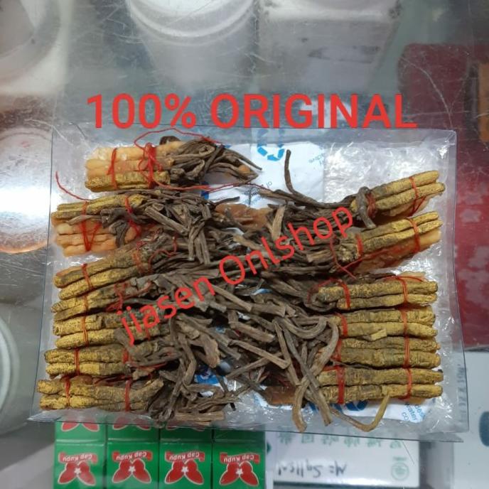 

Cordyceps / Ulat Salju / Jamur Ulat Salju per 1 ikat