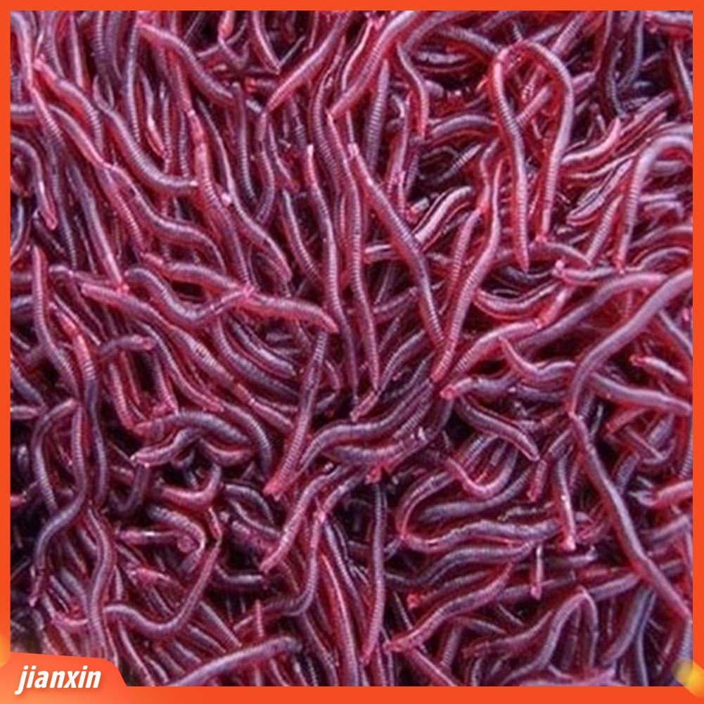 [Jianxin] 50Pcs Umpan Pancing Bentuk Cacing Tanah Imitasi Bahan Lembut Warna Merah