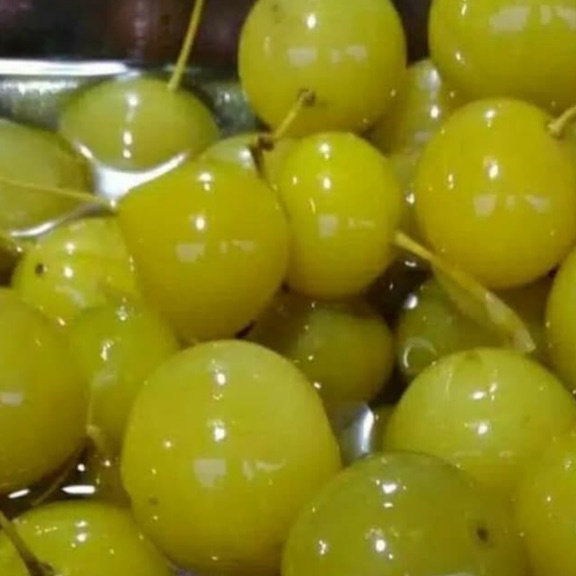 

Free Ongkir ANGGUR BOGOR BERAT 250-500GR