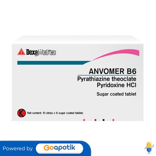 ANVOMER B6 BOX 60 TABLET