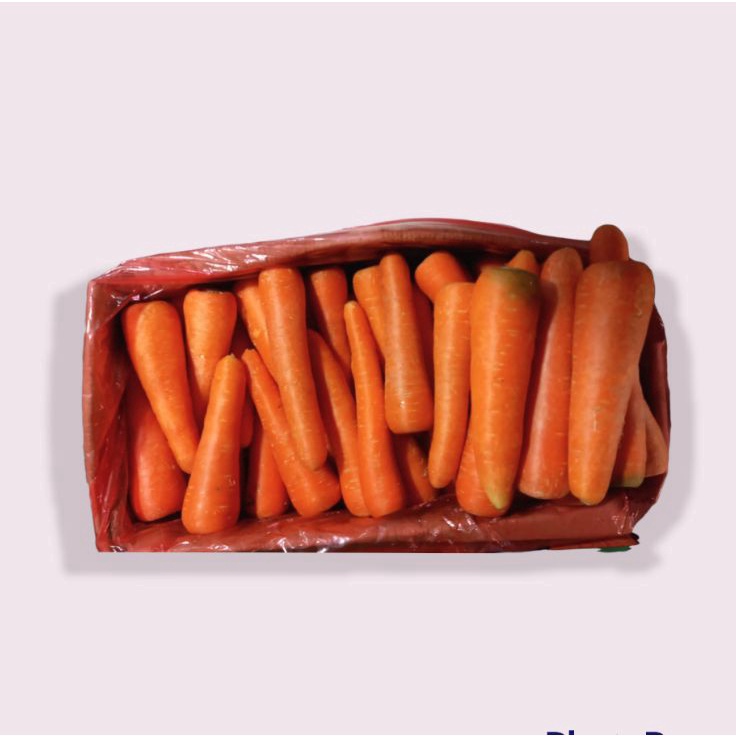 

MEN SALE Wortel Impor/brastagi /500gram