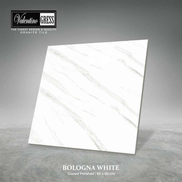 Granit Valentino Gress Bologna White 60x60